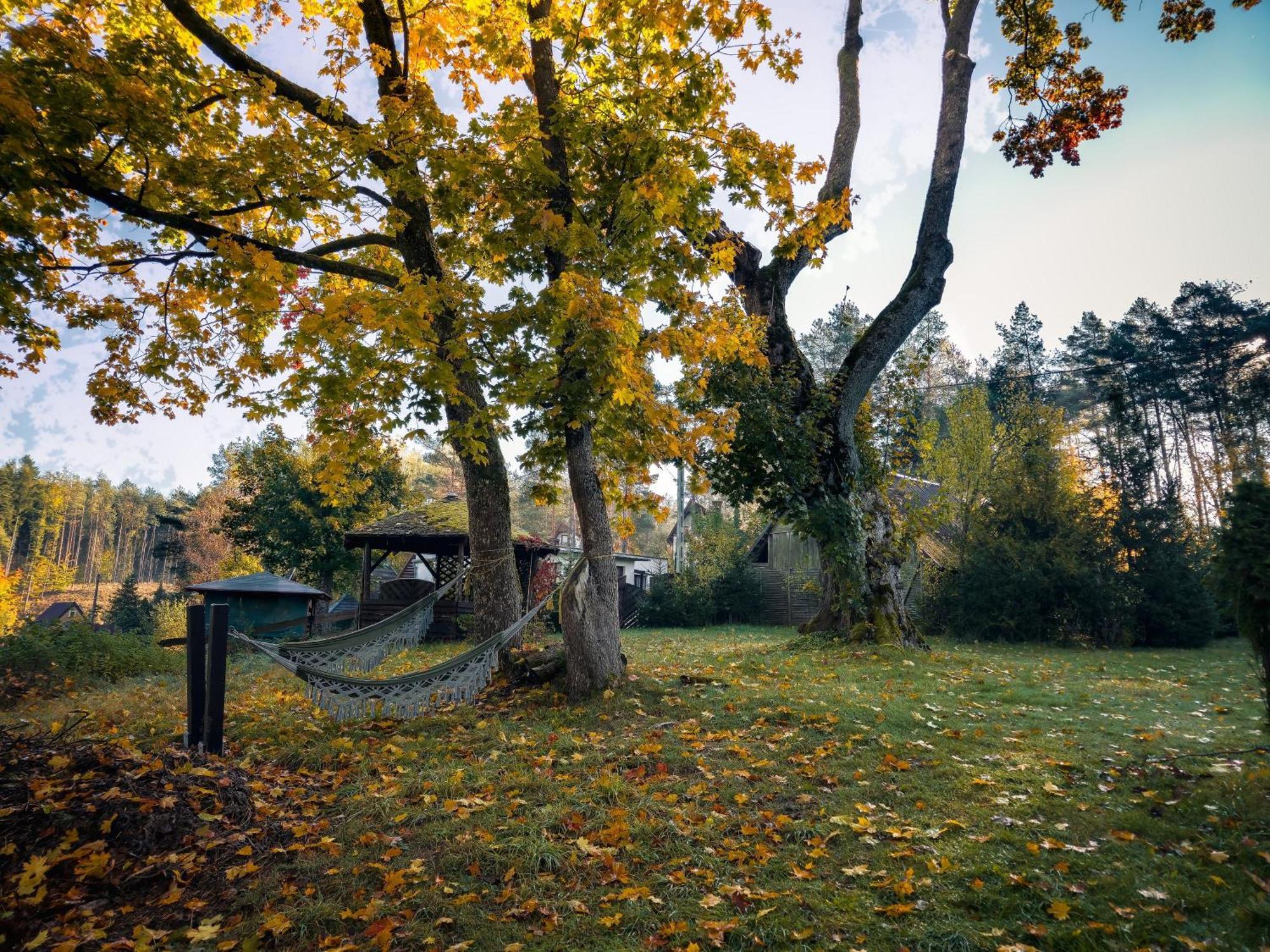 Villa Dom Pod Klonem Na Kaszubach à Kościerzyna Extérieur photo