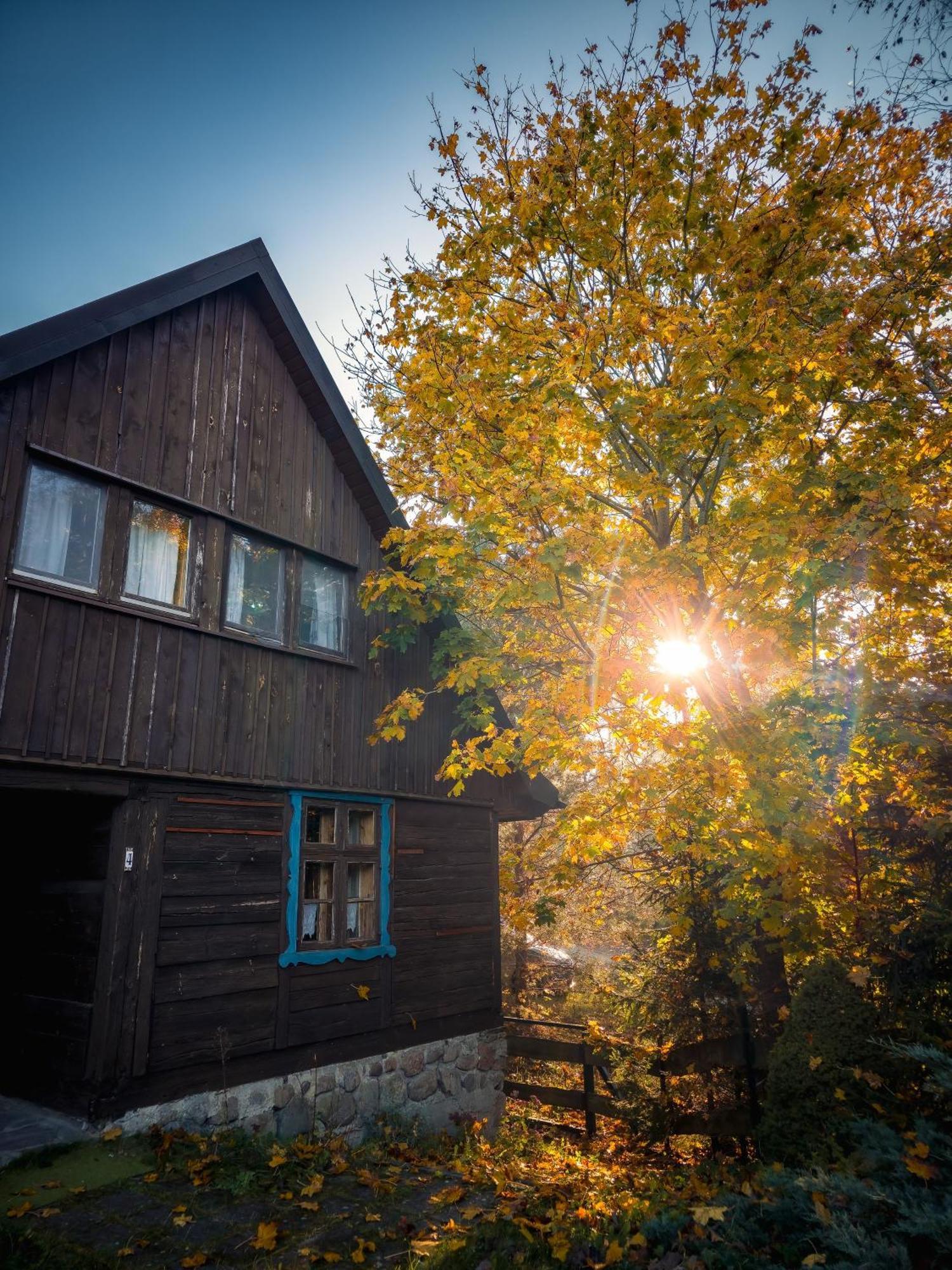 Villa Dom Pod Klonem Na Kaszubach à Kościerzyna Extérieur photo
