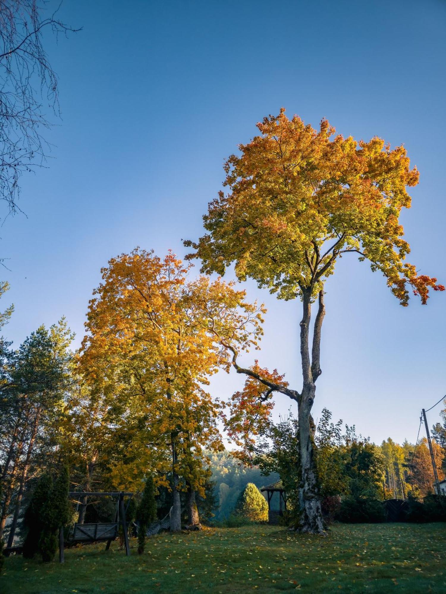 Villa Dom Pod Klonem Na Kaszubach à Kościerzyna Extérieur photo